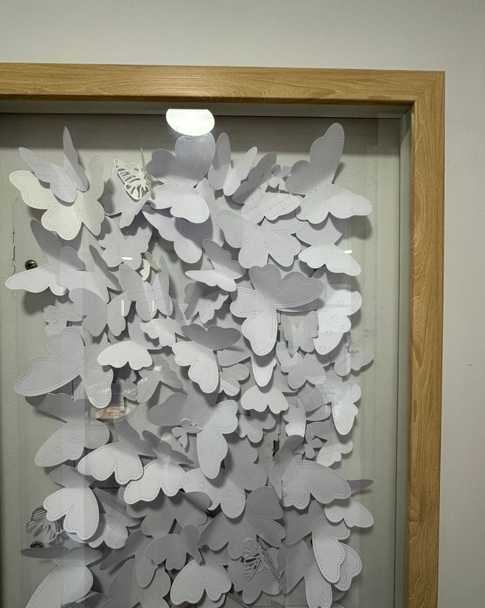 Cuadro con Mariposas Blancas y una Amarilla