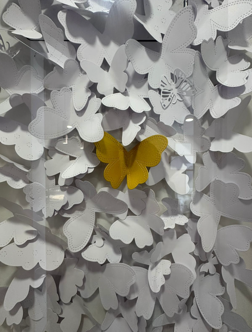 Cuadro con Mariposas Blancas y una Amarilla